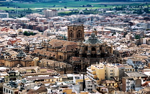 aerial photo of city buildings